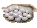 3000 Echo Beads