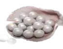 6000 Echo Beads